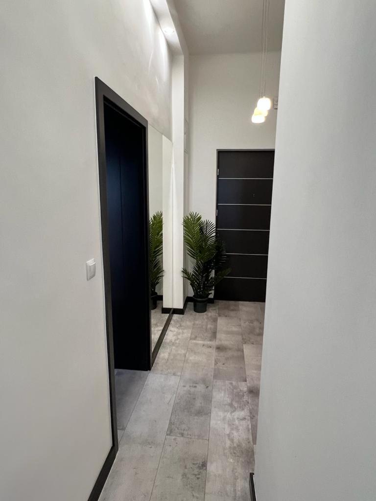 Apartment Strzelce Queen