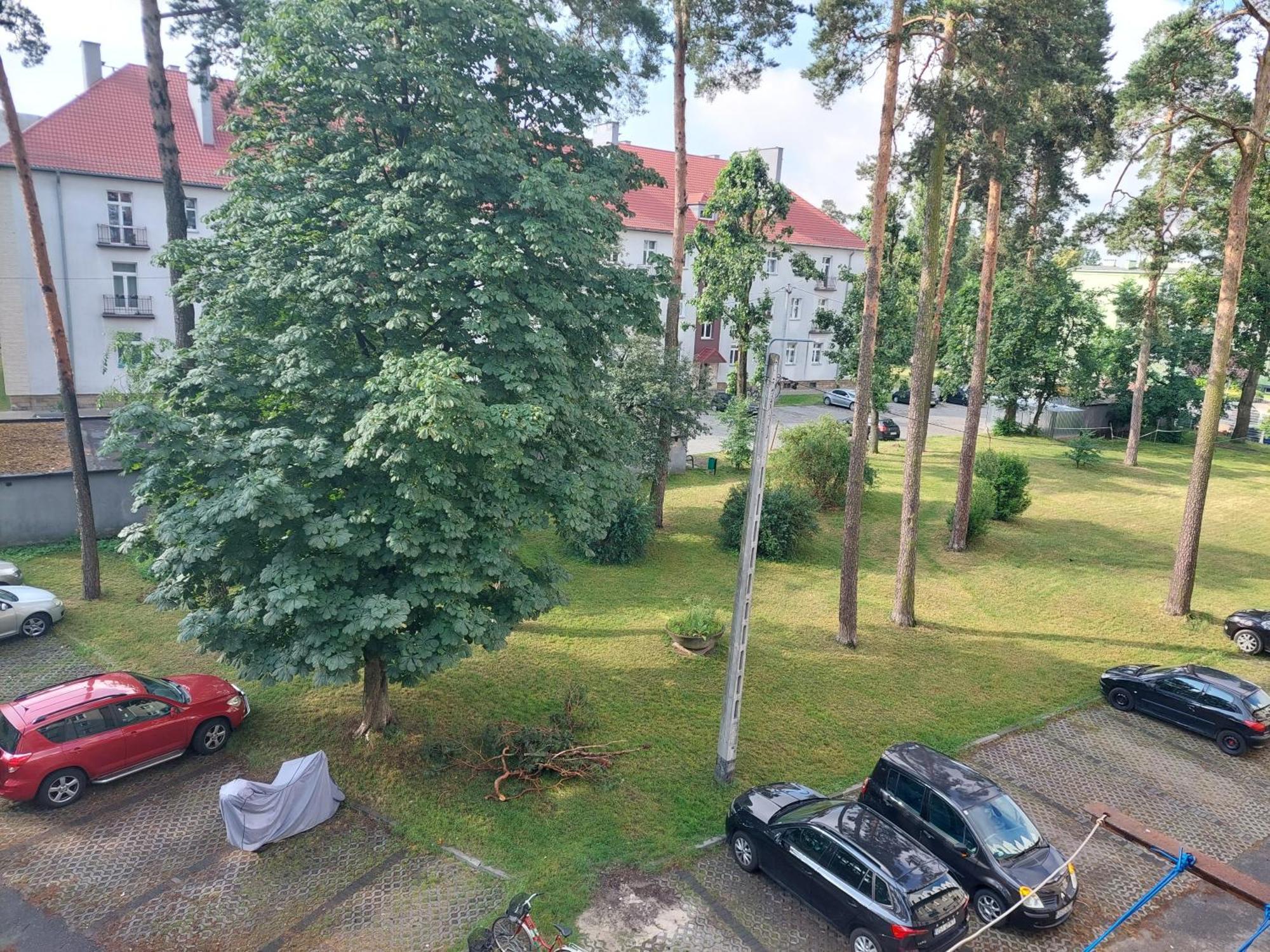 Strzelce Queen Apartment Strzelce Opolskie